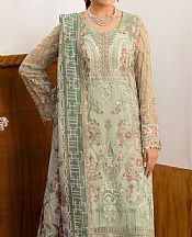 Light Green Chiffon Suit