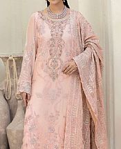 Pink Chiffon Suit