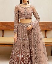 Ramsha Tea Pink Organza Suit- Pakistani Chiffon Dress