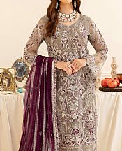 Grey Net Suit- Pakistani Chiffon Dress