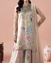 Ramsha Multicolor Net Suit- Pakistani Chiffon Dress