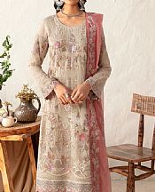 Pastel Grey Chiffon Suit