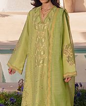 Rang Rasiya Olive Green Lawn Suit- Pakistani Lawn Dress