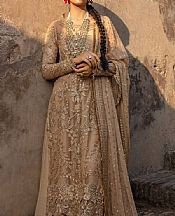 Rang Rasiya Pale Brown Net Suit- Pakistani Chiffon Dress