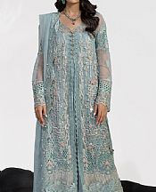 Rang Rasiya Slate Grey Net Suit- Pakistani Chiffon Dress