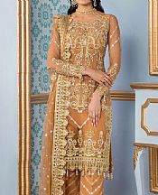 Fawn Net Suit- Pakistani Chiffon Dress