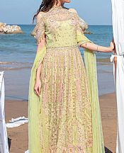 Reign Lime Green Net Suit- Pakistani Chiffon Dress