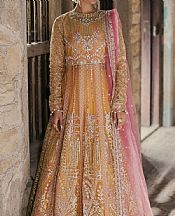 Golden/Pink Net Suit