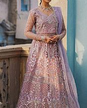 Pink/Lavender Net Suit