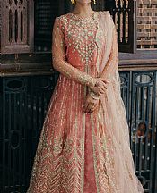 Peach/Gold Net Suit