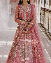 Tea Pink Net Suit