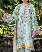 Roheenaz Summer Green Lawn Suit- Pakistani Lawn Dress