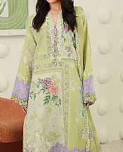 Light Green Lawn Suit