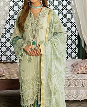 Rungrez Light Pistachio Chiffon Suit- Pakistani Chiffon Dress