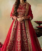 Red Organza Suit