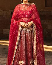 Cardinal Organza Suit