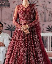 Maroon Net Suit
