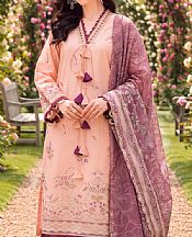 Peach Lawn Suit