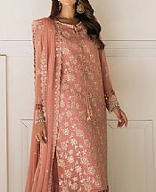Pink Chiffon Suit