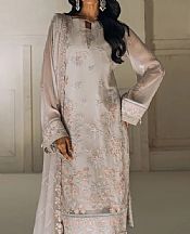 Light Grey Chiffon Suit