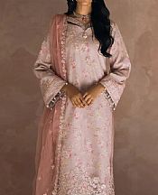 Oyster Pink Net Suit
