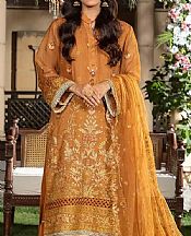 Salitex Dull Orange Net Suit- Pakistani Chiffon Dress