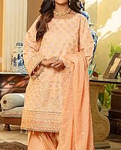 Salitex Peach Net Suit- Pakistani Designer Chiffon Suit