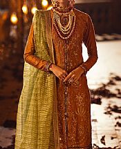 Salitex Rust Orange Cotton Net Suit- Pakistani Chiffon Dress