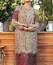 Salitex Pistachio Lawn Suit (2 Pcs)- Pakistani Lawn Dress