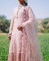 Baby Pink Net Suit- Pakistani Designer Chiffon Suit