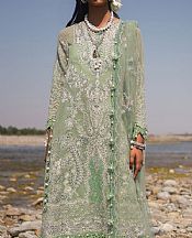 Pastel Green Net Suit- Pakistani Chiffon Dress