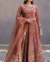 Tea Pink Velvet Suit- Pakistani Winter Clothing