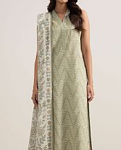 Light Green Lawn Suit