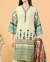 Light Green Khaddar Suit- Pakistani Winter Dress