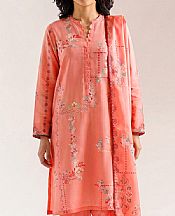 Coral Lawn Suit