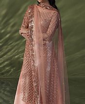 Brownish Pink Net Suit