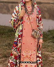 Peach Karandi Suit- Pakistani Winter Dress