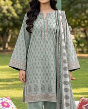 Ash Grey Lawn Suit (2 pcs)