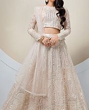 Ivory Net Suit- Pakistani Designer Chiffon Suit