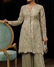 Pistachio Green Net Suit- Pakistani Chiffon Dress