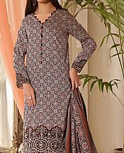 Vs Textile Beige/Brown Cotton Suit- Pakistani Winter Clothing