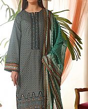 Vs Textile Grey/Green Cotton Suit- Pakistani Winter Clothing