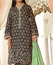 Vs Textile Lunar Green Cotton Suit- Pakistani Winter Dress