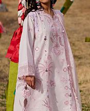 Pink Lawn Suit