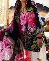 Multicolor Lawn Suit