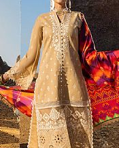 Tan Chikankari Suit- Pakistani Lawn Dress