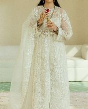 White Organza Suit