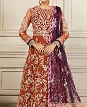 Rust Net Suit- Pakistani Chiffon Dress