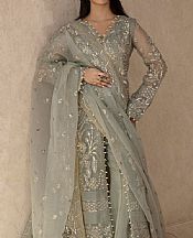 Zarposh Silver/Grey Organza Suit- Pakistani Chiffon Dress