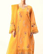 Orange Cambric Zari Suit